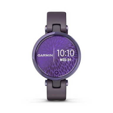 garmin 010-02384-12