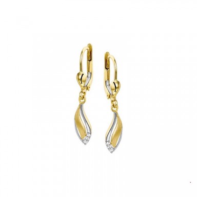 huiscollectie 36083512831