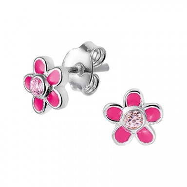 huiscollectie 56419358083