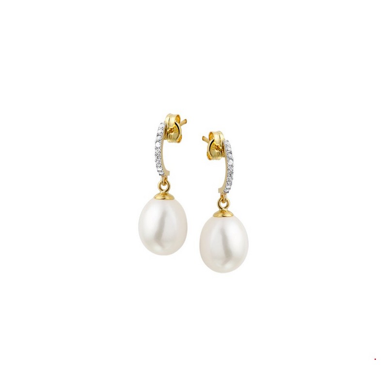 HUISCOLLECTIE 13658132841