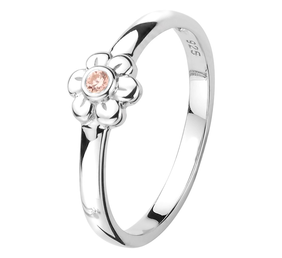 HUISCOLLECTIE 15483027941