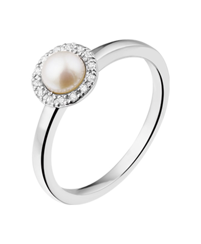 huiscollectie 173882490