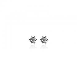 HUISCOLLECTIE 2257969