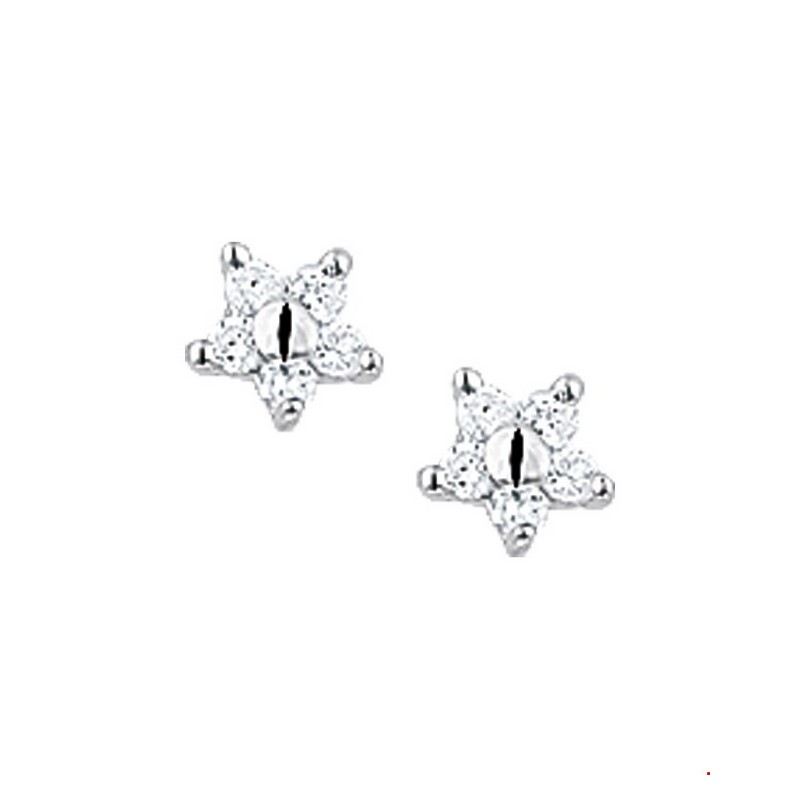 HUISCOLLECTIE 516231013419