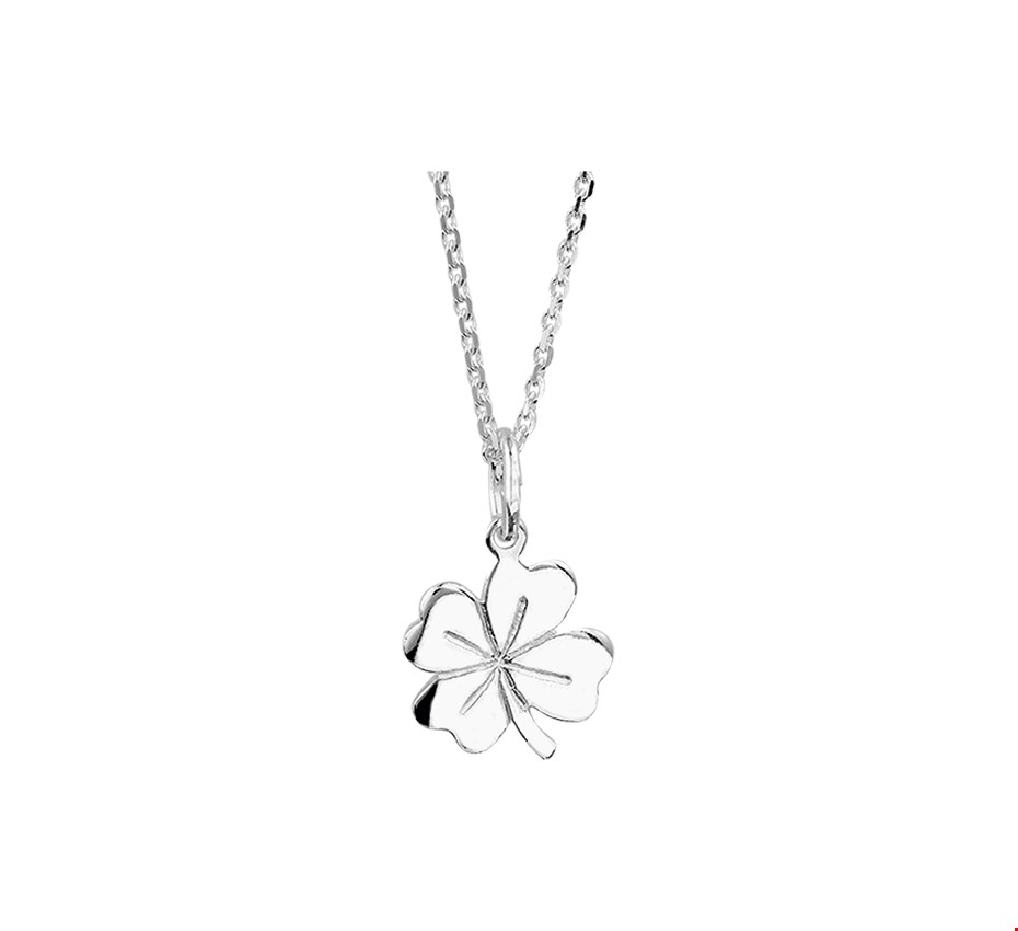 HUISCOLLECTIE 919698310869