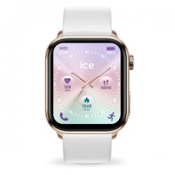 icewatch 024302