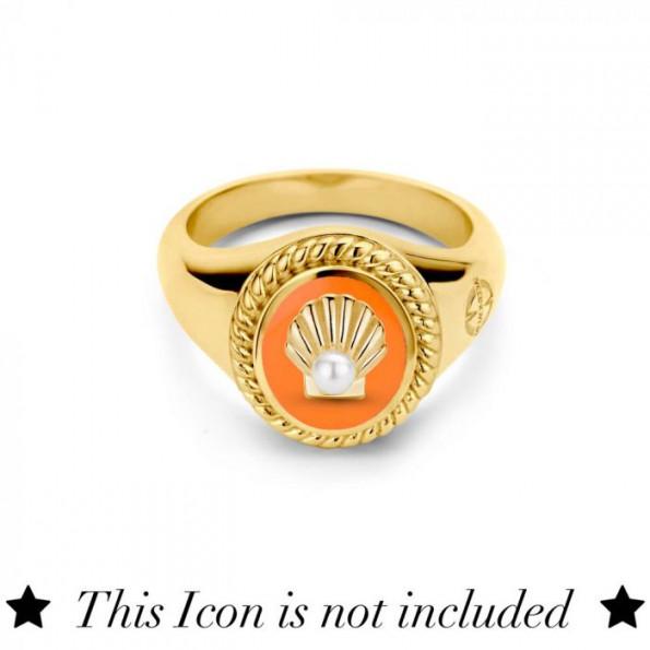 MI MONEDA IC-RIN-OV-02-19