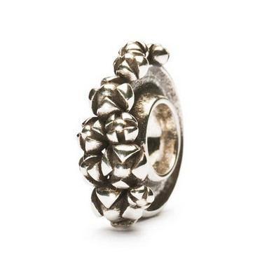 trollbeads TAGBE-10020