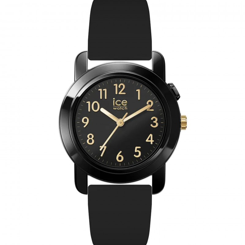 icewatch 024917