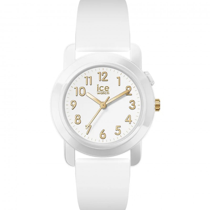 icewatch 024916